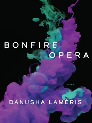 cover image of Bonfire Opera